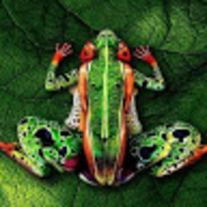 Meet your Posher, Mavenowa